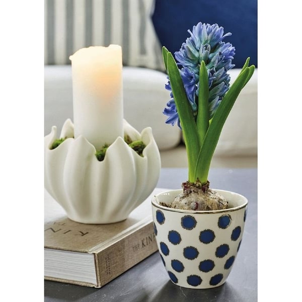 Savannah Blue latte krus - Nedsatt fra 99,-