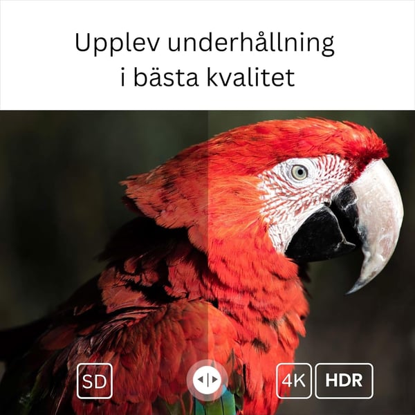 Google-sertifisert TV-stick 4K HDR Android TV 14 WiFi Play Store-støtte for Netflix, YouTube, Disney+