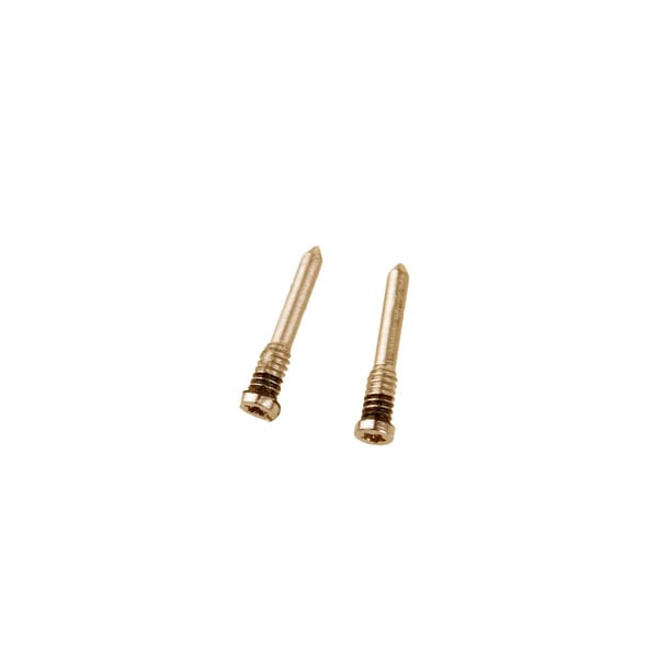 iPhone XS/XR/XS Max Bottenskruvar 2st - Guld