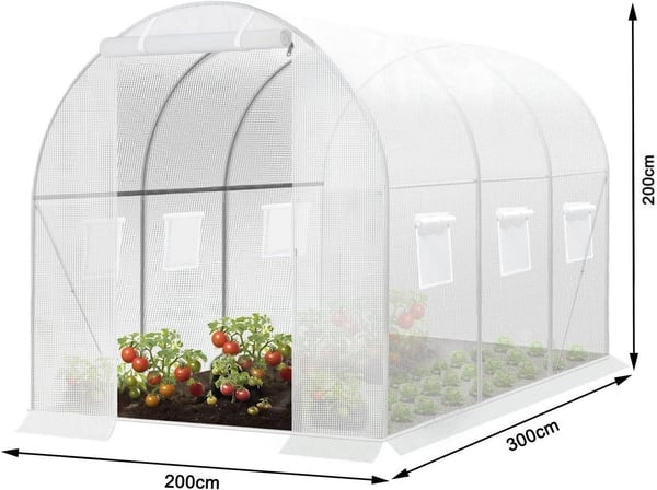 Rootz Premium Large Walk-In drivhus - Havedrivhus - Planteskjul - Vejrbestandigt PE Mesh - Rummeligt 6m² interiør - Robust 19 mm stålramme - 300 cm x