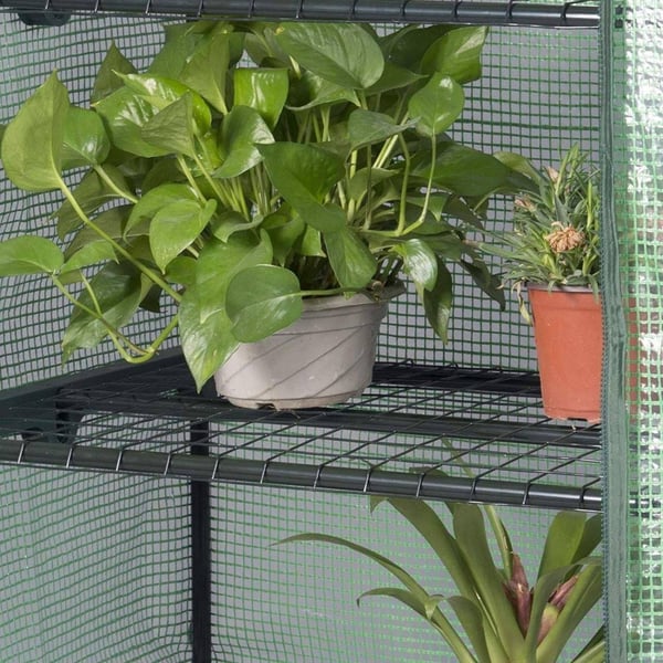 Rootz Folie Drivhus - Have Drivhus - Plantehus - UV Beskyttelse - Justerbar Ventilation - Vejrbestandig - 2,15m x 1,43m x 1,95m
