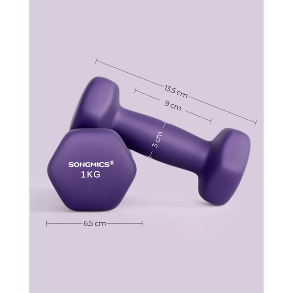 Rootz neoprenbelagte håndvægte - Lilla håndvægte - Støbejern - Styrketræning - Neoprenbelægning - Kompakt størrelse - 13,5 cm x 6,5 cm - 2 kg totalvæg