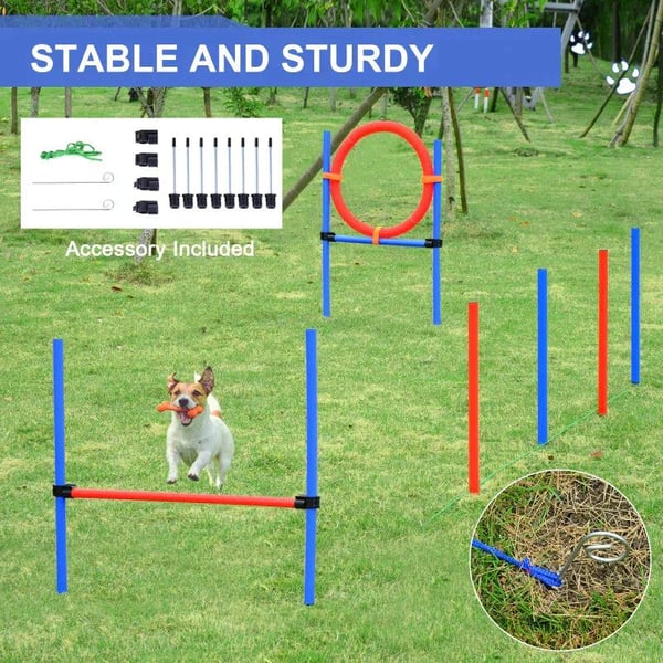 Rootz Pet Agility Sæt - Hunde Agility Træningsudstyr - Agility Træningssæt - Hunde Agility Sæt - Hunde Slalom Hækkespring Ring - Blå/Rød