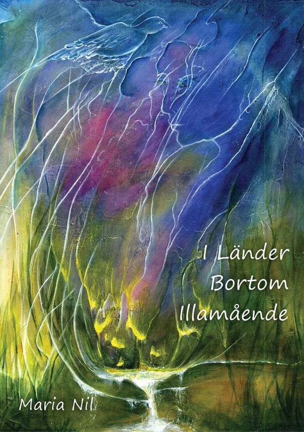 I länder bortom illamående 9789163937569