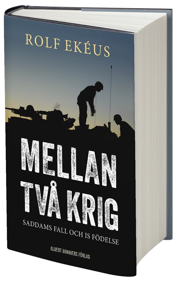 Mellan två krig : Saddams fall och IS födelse 9789100158897