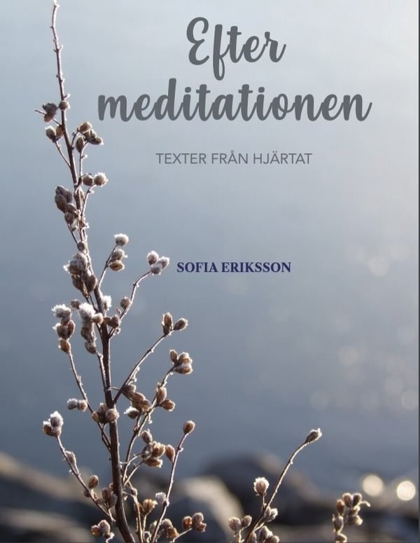 Efter meditationen: texter från hjärtat 9789198550108