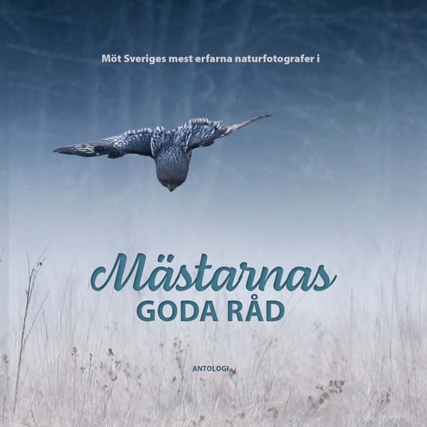 Mästarnas goda råd 9789189159495