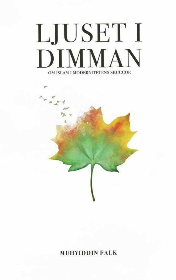 Ljuset i dimman - Om Islam i modernitetens skuggor 9789186267346