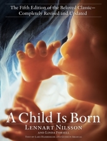 A Child Is Born 9780593157961