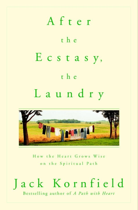 After the Ecstasy, the Laundry 9780553378290