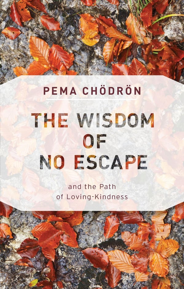 The Wisdom of No Escape 9781611806052
