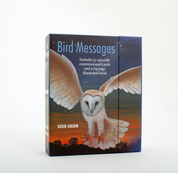 Bird Messages 9781782496625