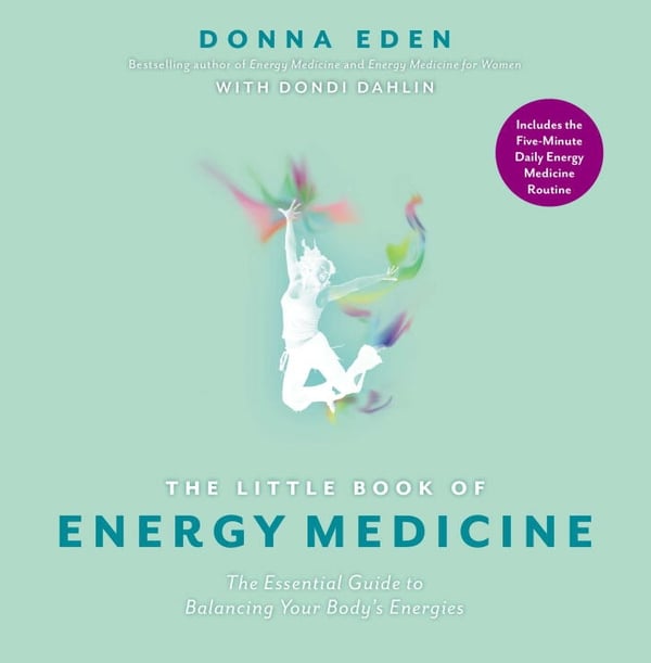 The Little Book of Energy Medicine 9781585429318