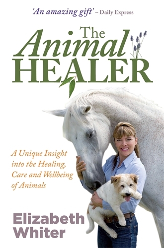 Animal healer 9781848501904 Animal healer 9781848501904