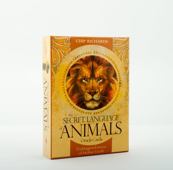 Secret Language Of Animals 9781922161086