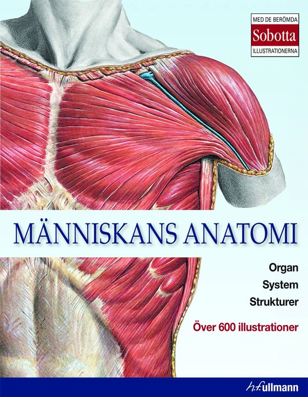 Människans anatomi 9783848009046