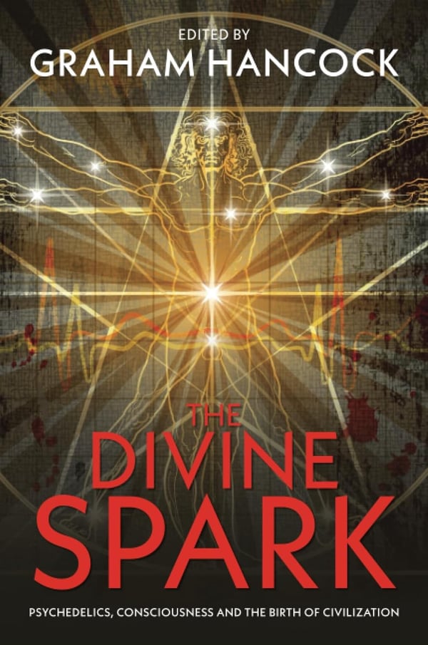 Divine spark 9781781805626