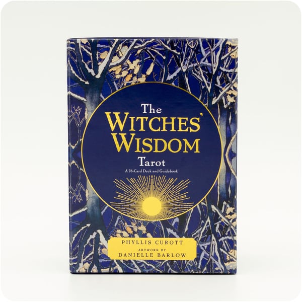 The Witches' Wisdom Tarot 9781788173216