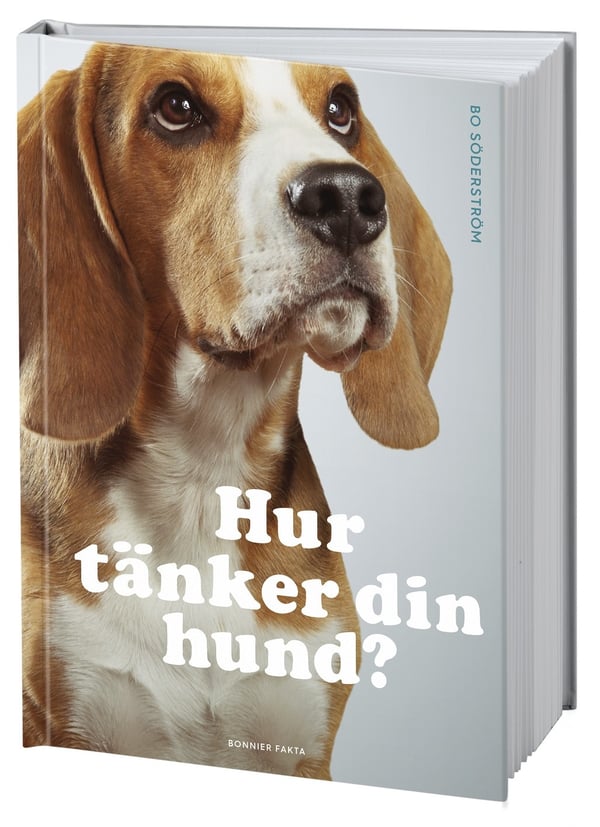 Hur tänker din hund? 9789178870059