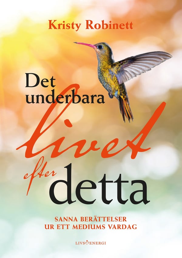 Det underbara livet efter detta 9789188633071