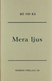 Mera ljus 9789185154340