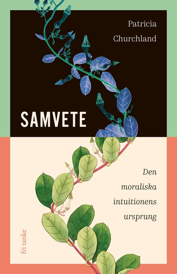 Samvete : Den moraliska intuitionens ursprung 9789188589729
