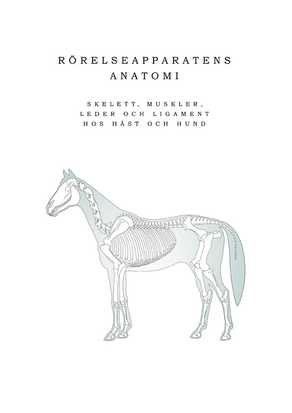 Rörelseapparatens anatomi 9789163758959