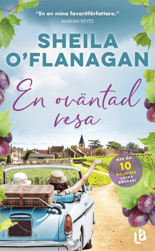 En oväntad resa 9789177993315