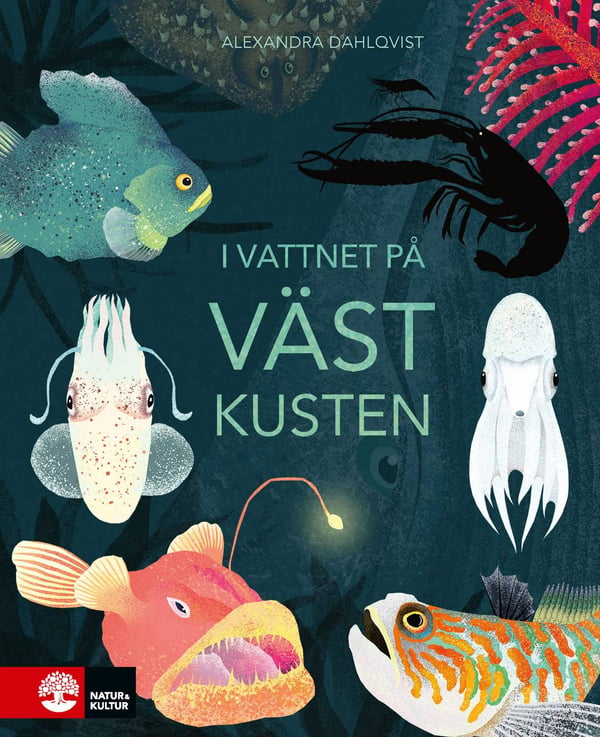 I vattnet på västkusten 9789127175792 I vattnet på västkusten 9789127175792