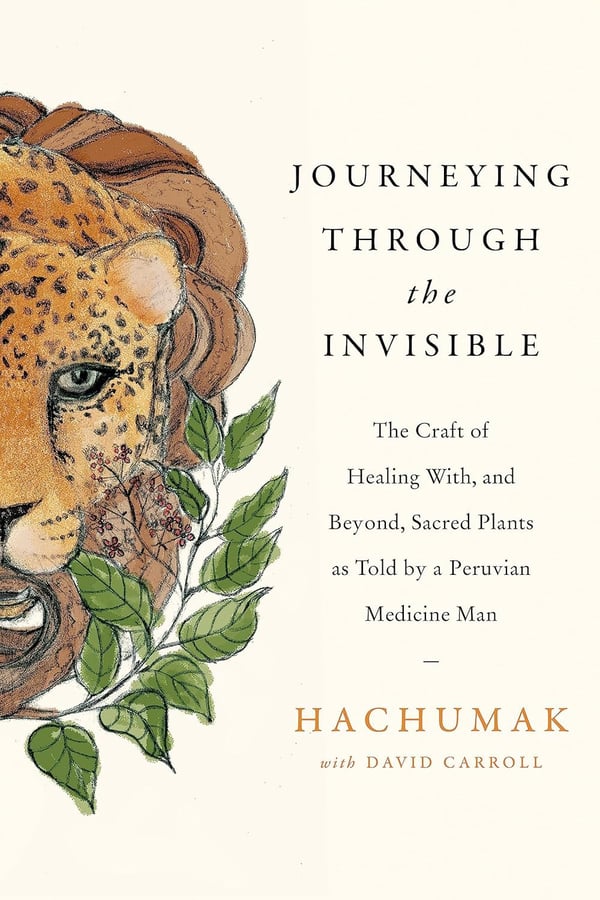 Journeying Through the Invisible 9780349427119