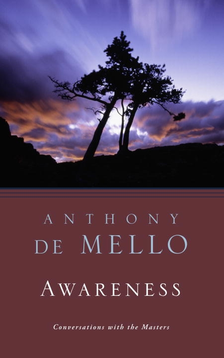 Awareness 9780385249379