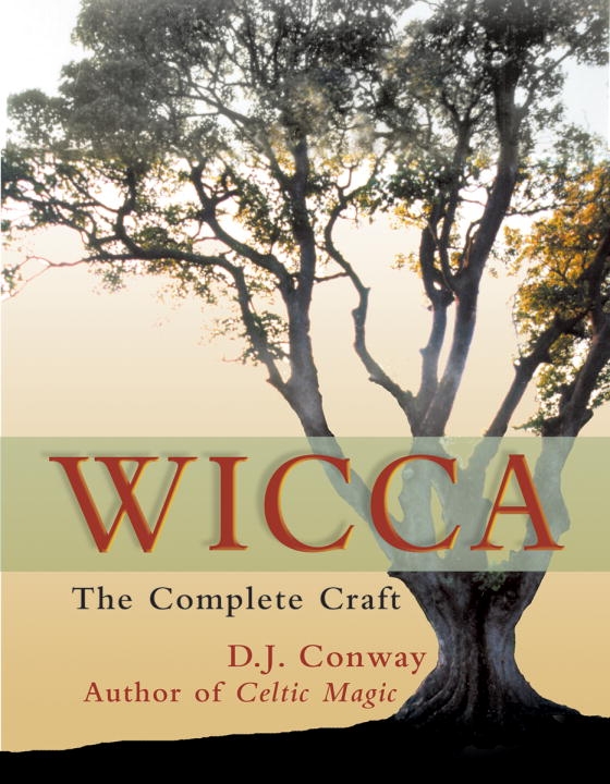 Wicca 9781580910927