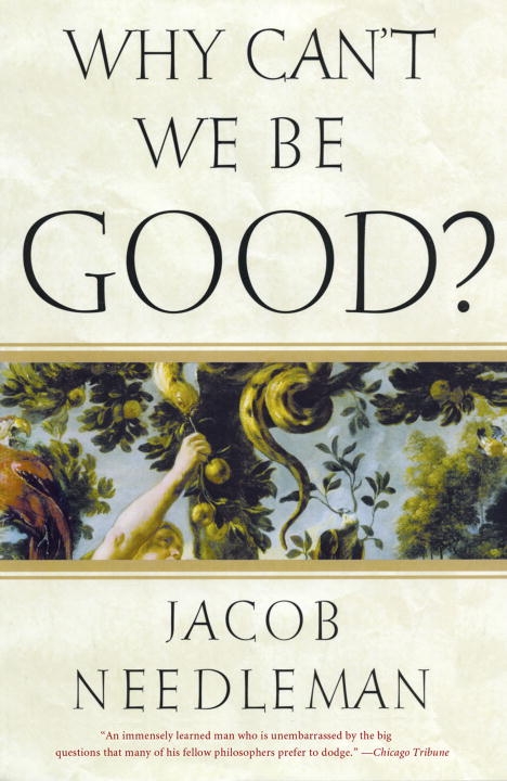 Why cant we be good 9781585426201