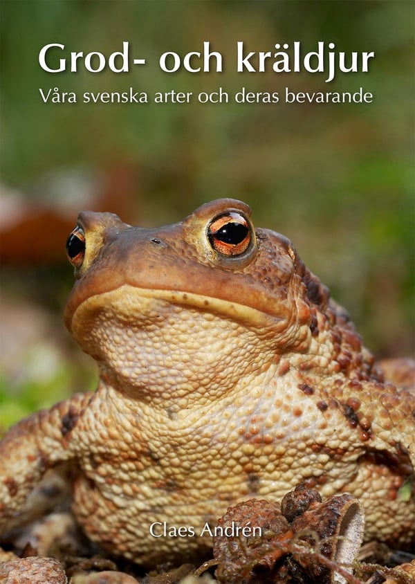 Grod- och kräldjur 9789185221486