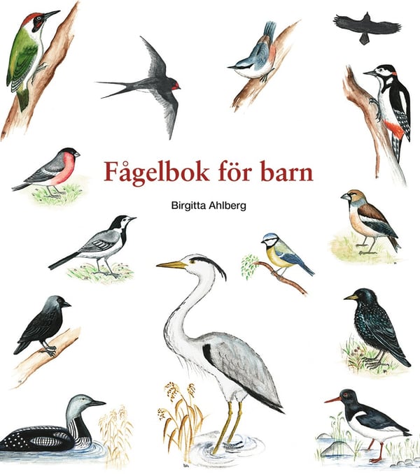 Fågelbok för barn 9789198940701