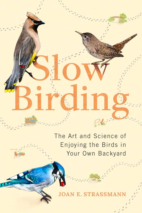 Slow Birding 9780593329924