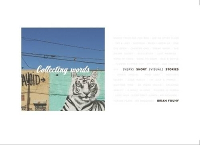 Collecting Words 9789187815904