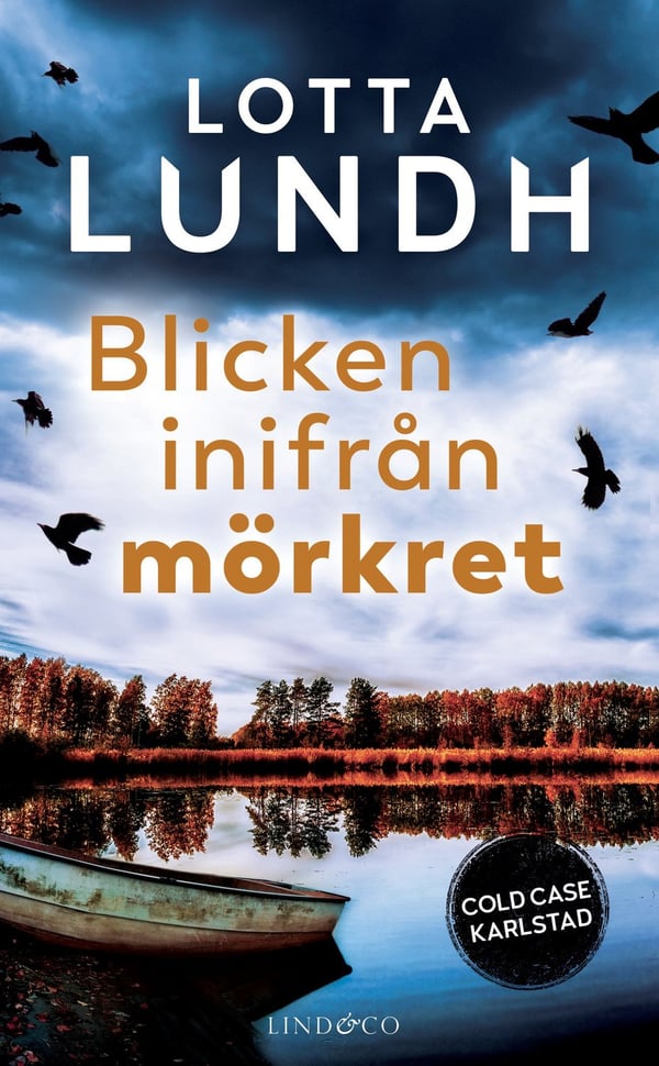 Blicken inifrån mörkret 9789180182966 Blicken inifrån mörkret 9789180182966