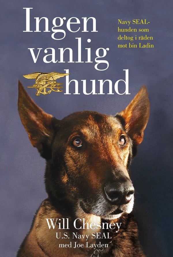 Ingen vanlig hund 9789189607422