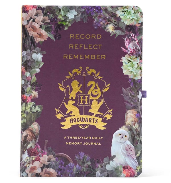 Harry Potter: Hogwarts Memory Journal 9798886638929
