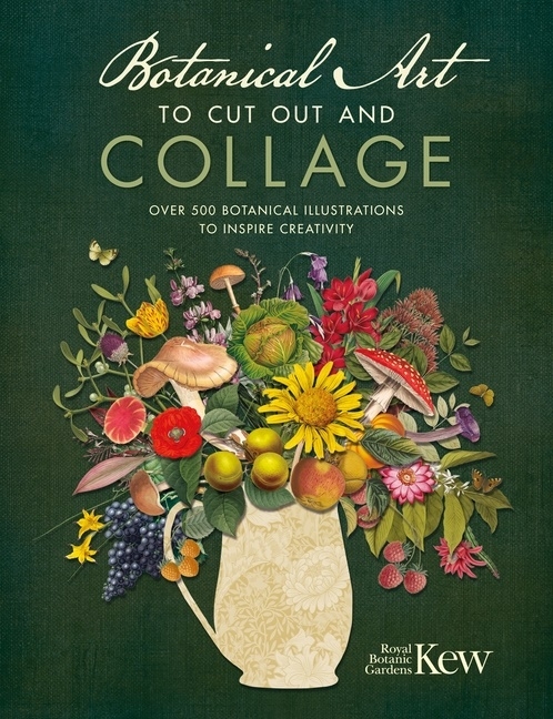 Botanical Art To Cut Out And Collage 9781446309933