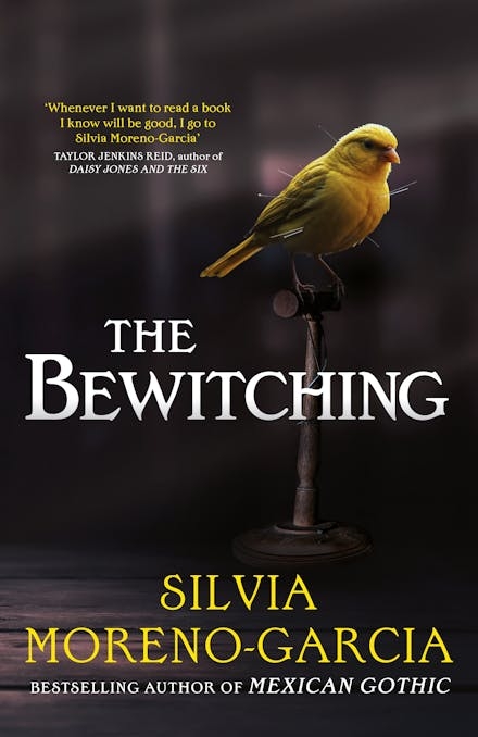 The Bewitching 9781529441710