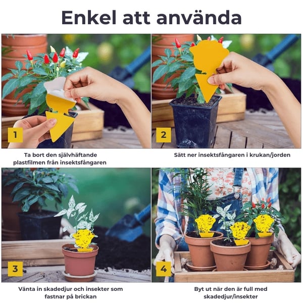 Multipack Insektsfällor för Rabatter / Växter
