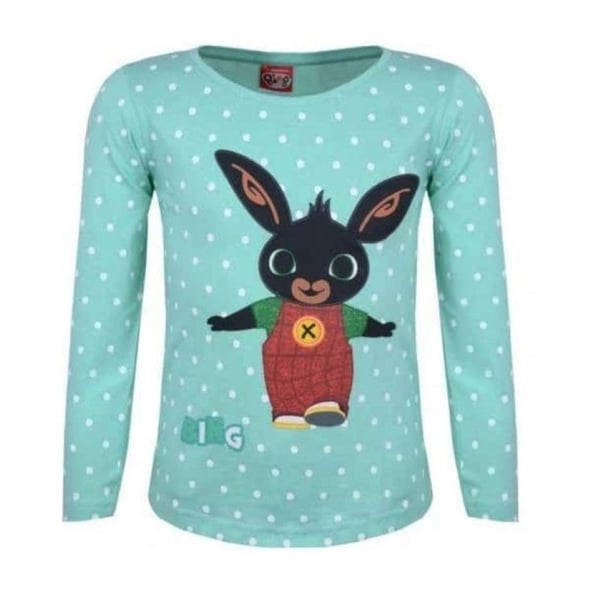 Bing långärmad T-shirt turkos