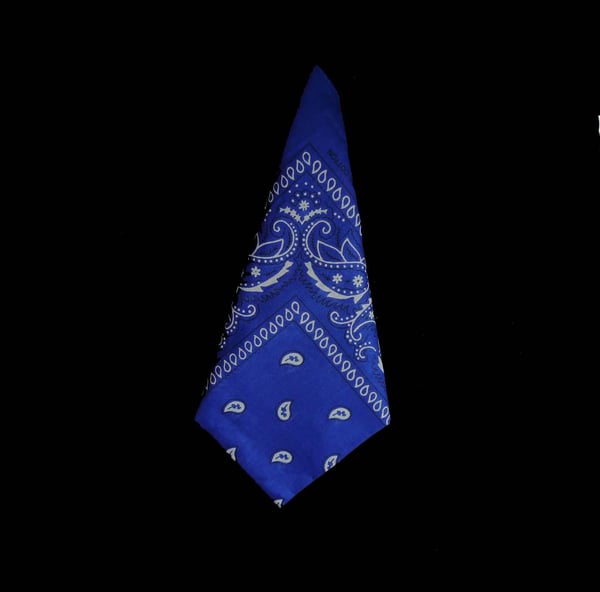 Bandana Paisleymönster Klar