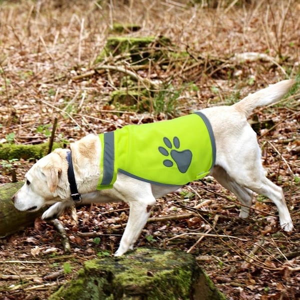 Refleksvest til Hund - Refleks - L