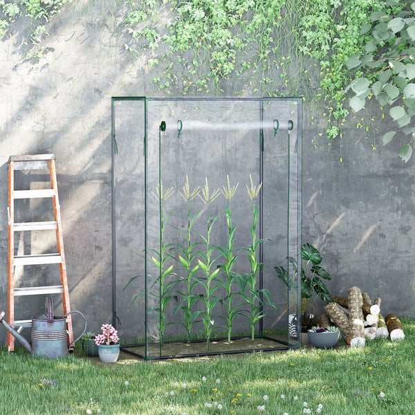 Växthus, 100x50x150 cm, Transparent