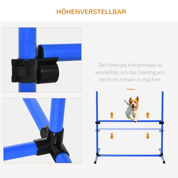 Hund Agilitysæt, 4-delt justerbart, 99x65x94 cm, Blå
