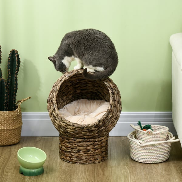 Katteseng, Rattan kattehule med pude, 42x33x52 cm, Brun