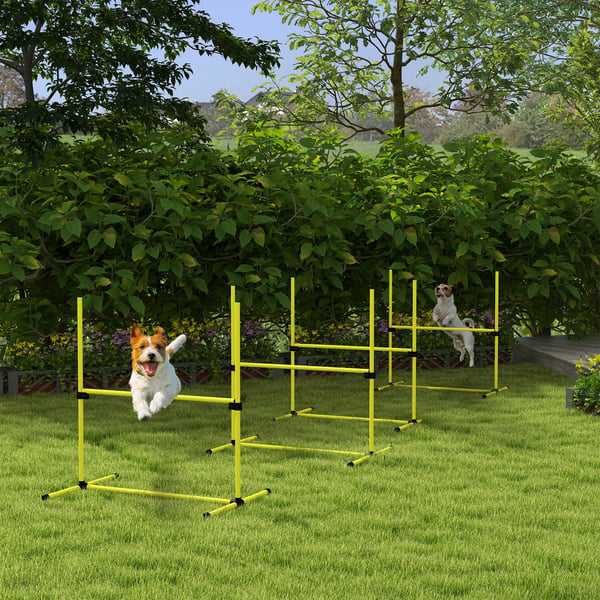 Hund Agility Forhindringssæt, 99x65x94 cm, Gul